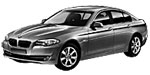 BMW F10 P2087 Fault Code
